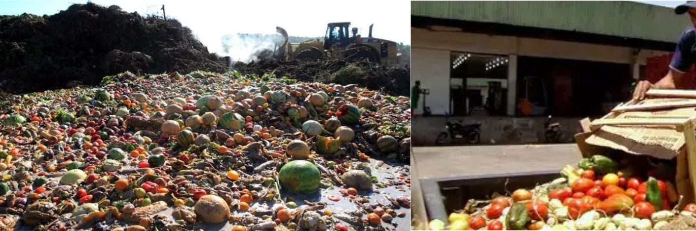 Alimentos descartados